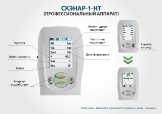 СКЭНАР-1-НТ (исполнение 01)  в Лыткарине купить Медицинский интернет магазин - denaskardio.ru 
